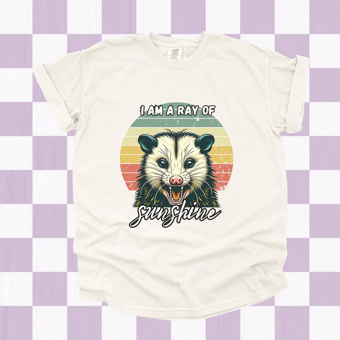 I Am A Ray of Sunshine Possum Tee - Just Goofy Little Guys