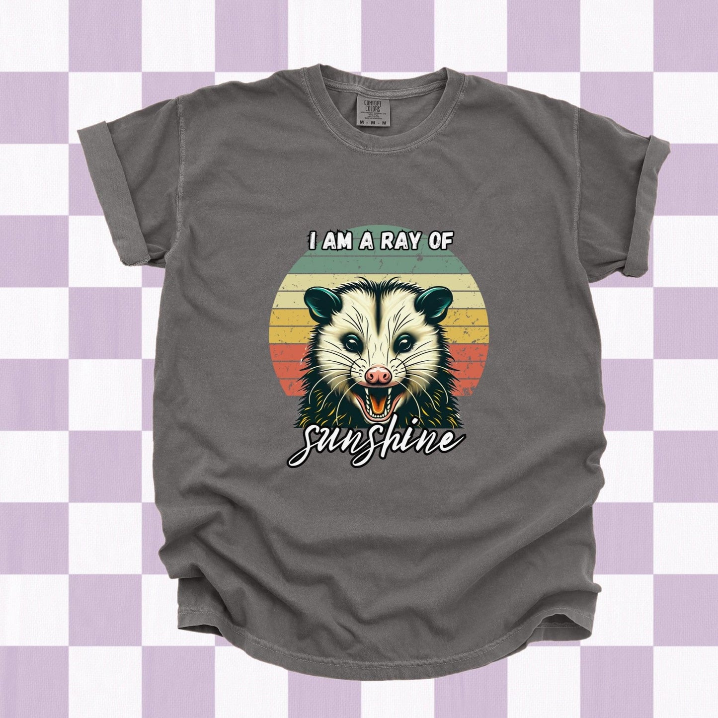 I Am A Ray of Sunshine Possum Tee - Just Goofy Little Guys