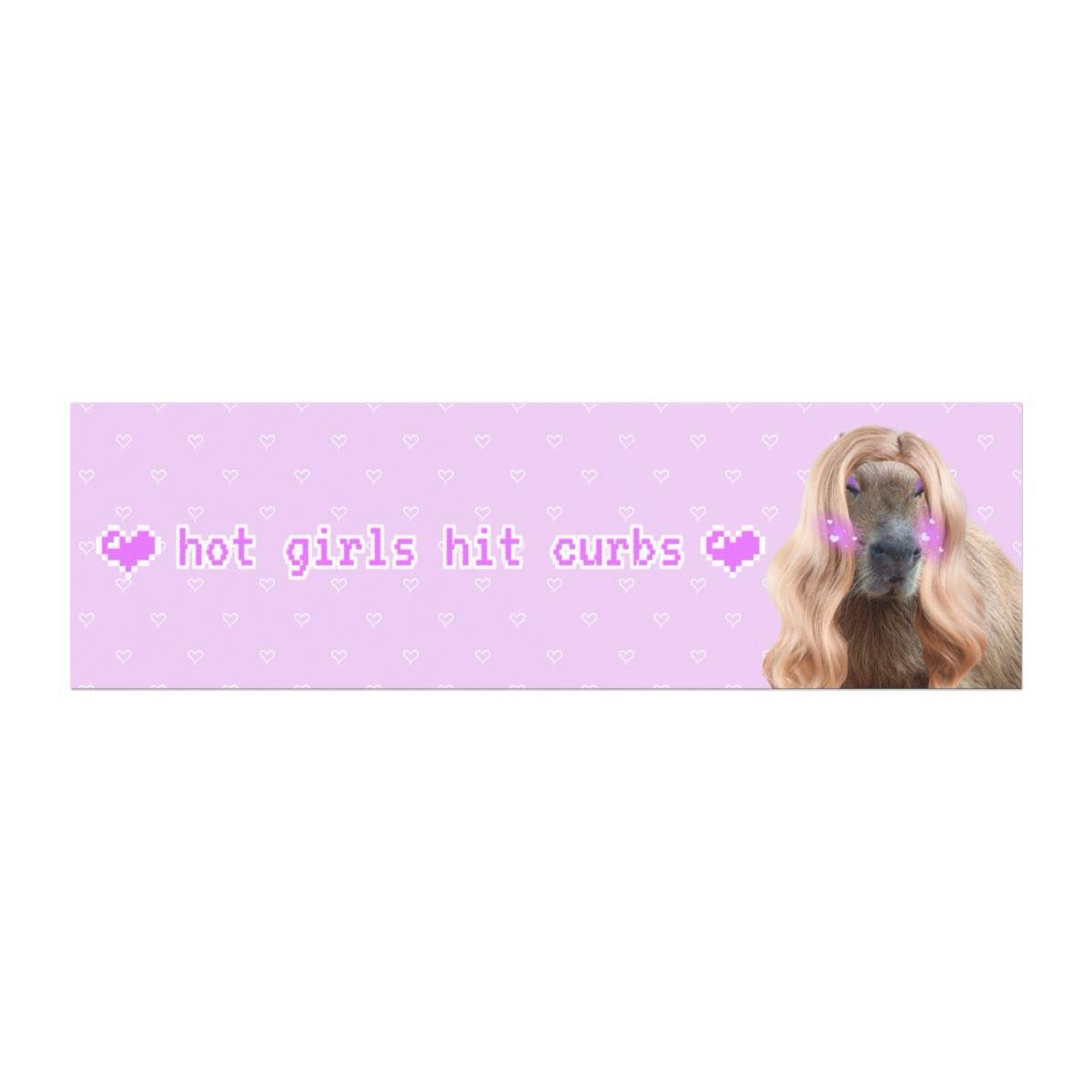 Hot Girls Hit Curbs Bumper Sticker Magnet