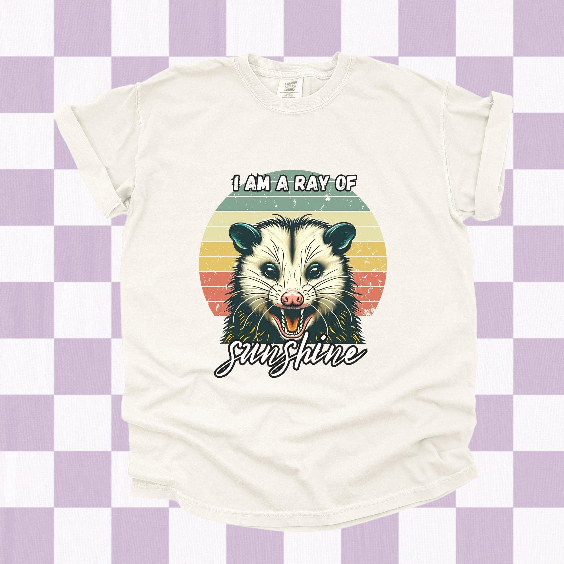 I Am A Ray of Sunshine Possum Tee - Just Goofy Little Guys