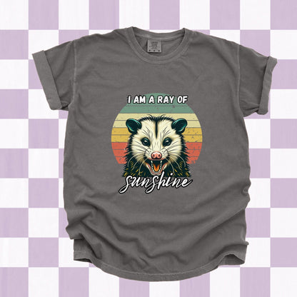 I Am A Ray of Sunshine Possum Tee - Just Goofy Little Guys