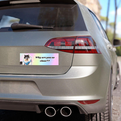 Why Are You So Close?? - Funny Cat Bumper Sticker Magnet