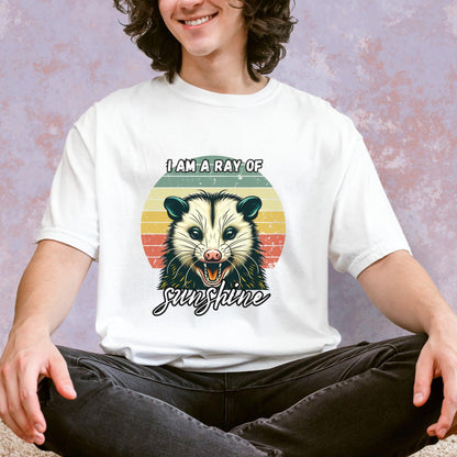 I Am A Ray of Sunshine Possum Tee - Just Goofy Little Guys