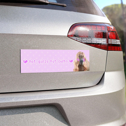 Hot Girls Hit Curbs Bumper Sticker Magnet
